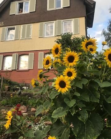 Sonnige Ferienwohnung 슈람베르크 외부 사진